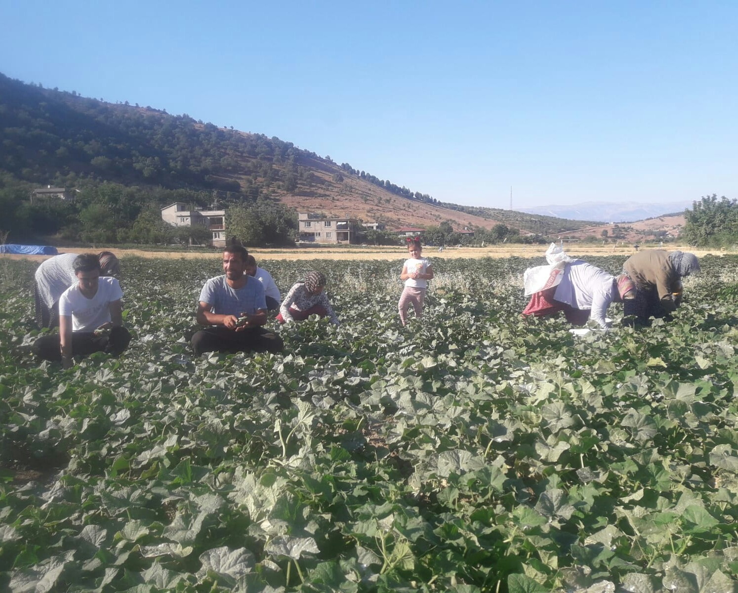 Ev hanımıydı, kendi işinin patronu oldu