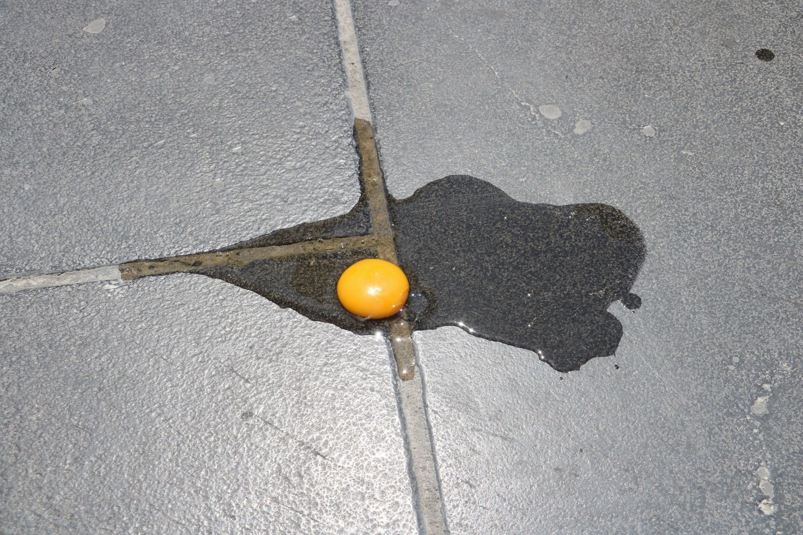 41 dereceyi bulan sıcakta, kaldırımda yumurta pişirme denemesi