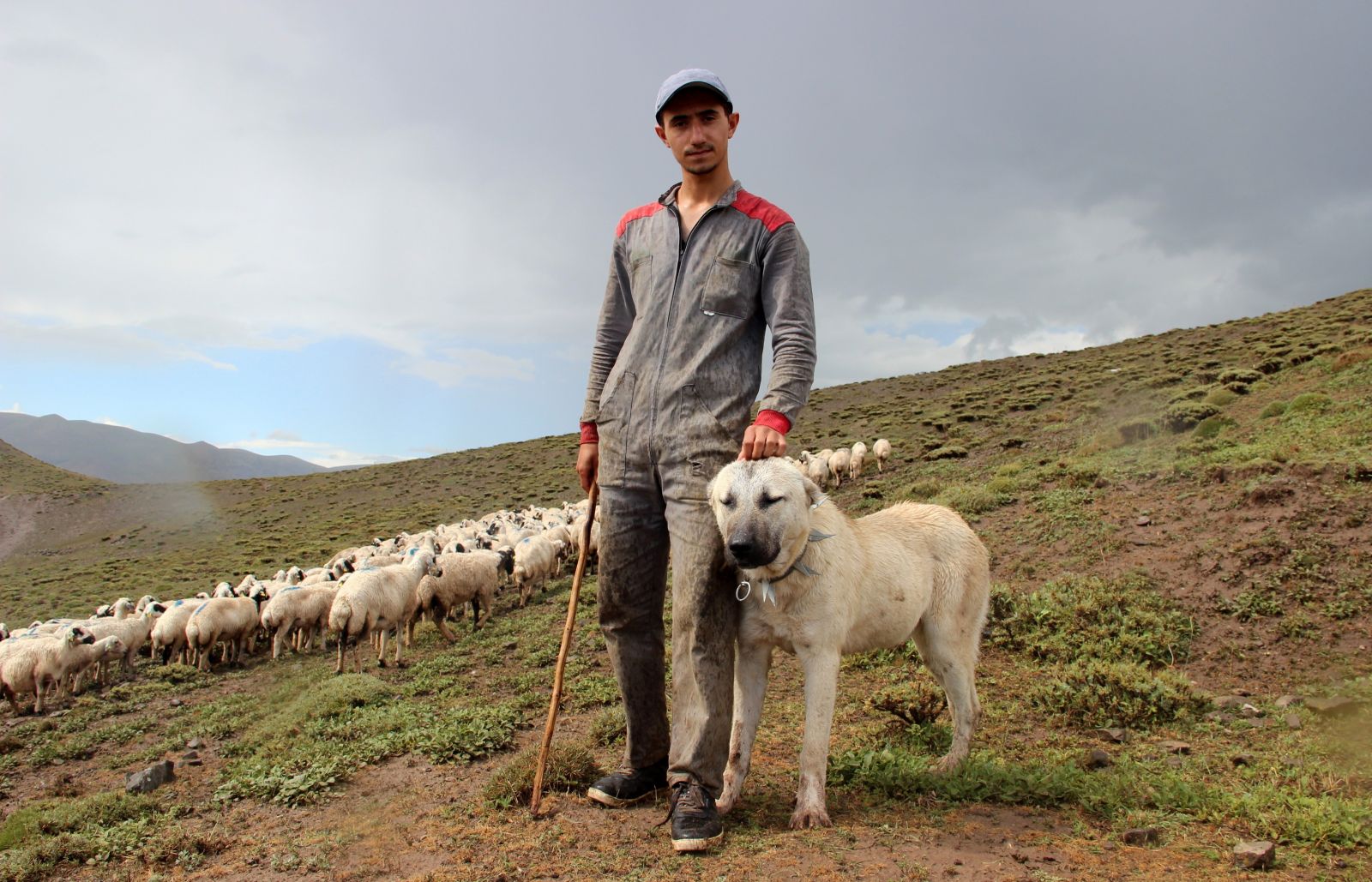 Umut çoban, Alzheimer'a umut oldu