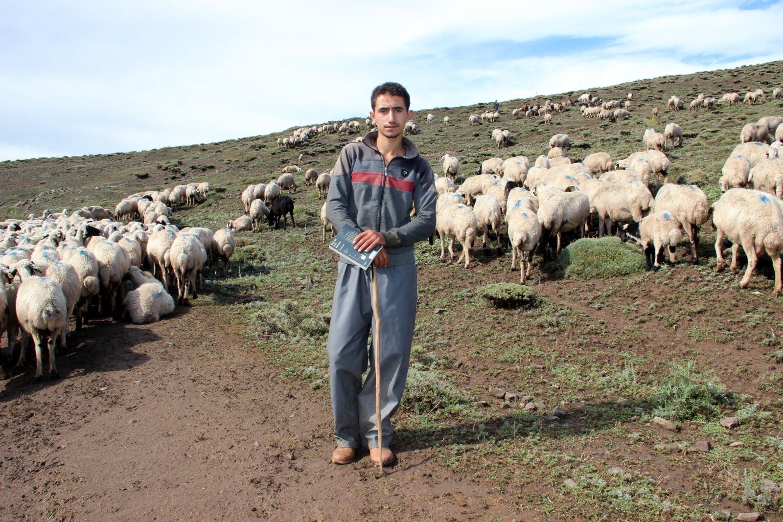Umut çoban, Alzheimer'a umut oldu