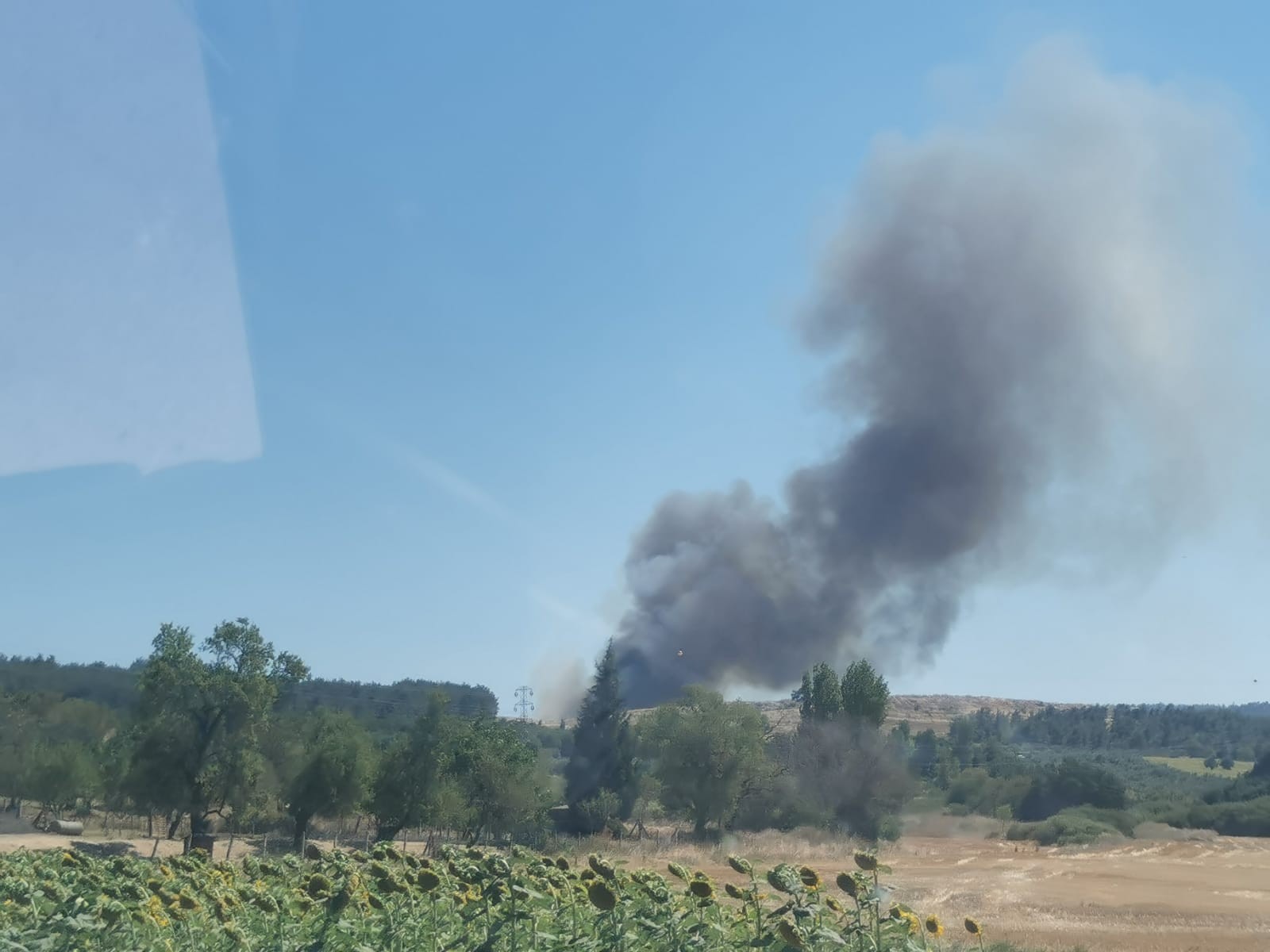 Çanakkale'de orman yangını