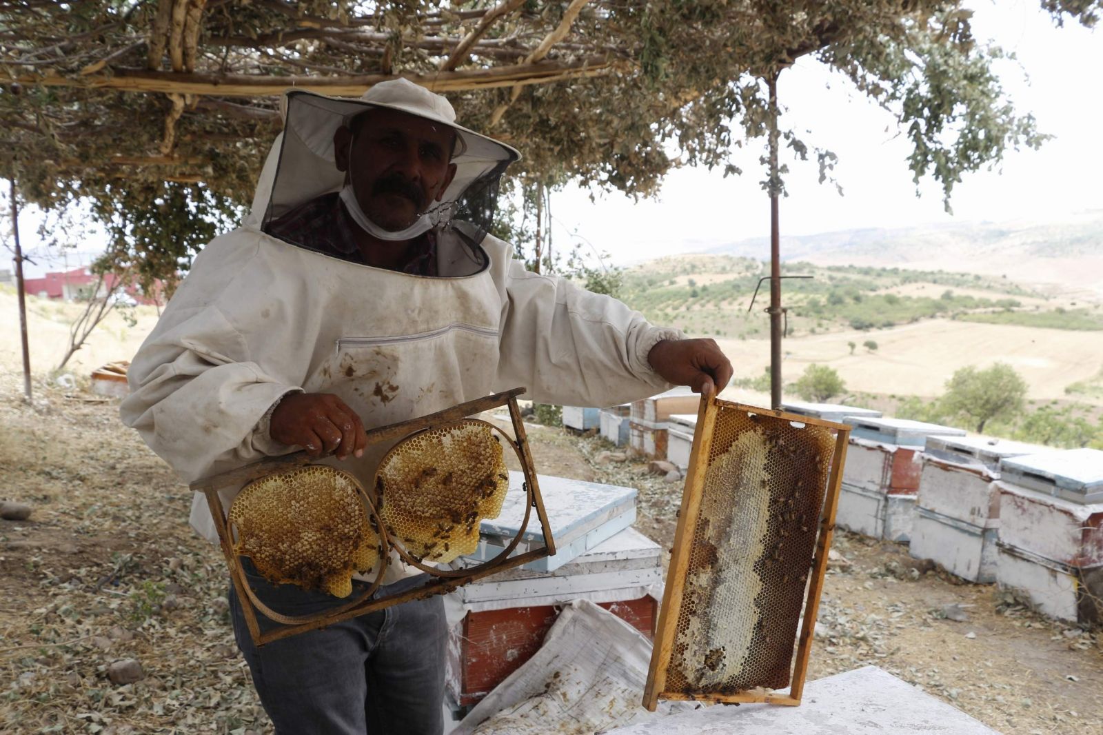 Çocukluk hayalini gerçekleştirdi, köyüne dönüp arıcılık yapmaya başladı