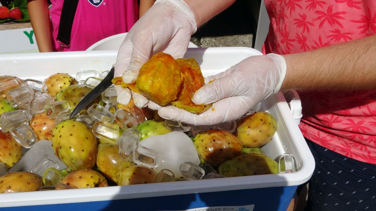 Masrafsız ve organik olarak yetişiyor! Tanesi 1 liradan satılıyor