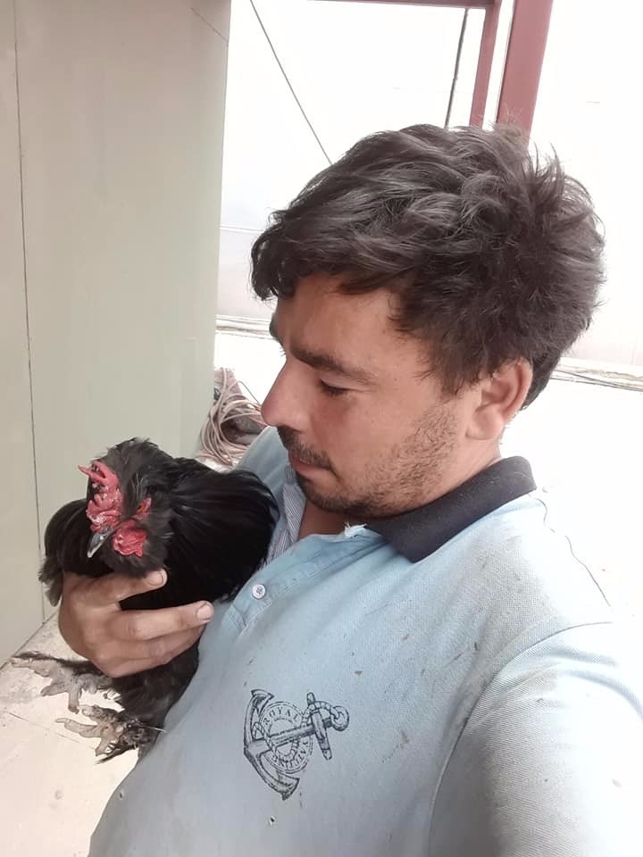 Tavuk hobisi ölümüne sebep oldu
