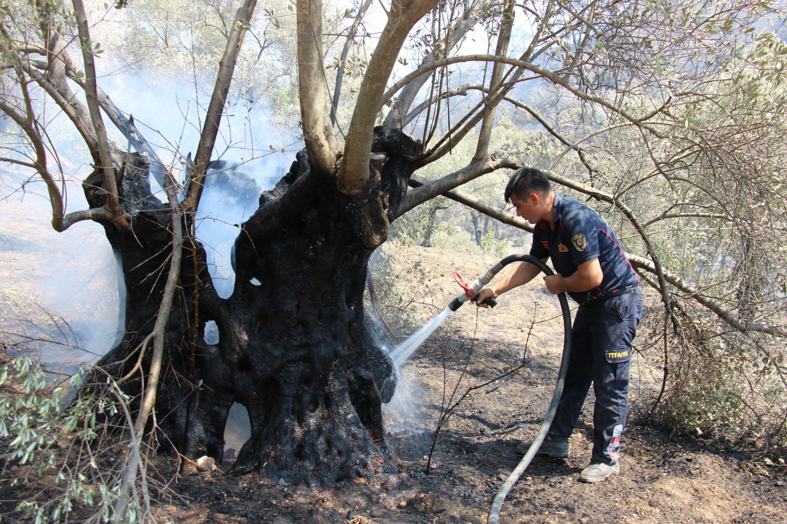 Yangın bitti, geriye acısı kaldı