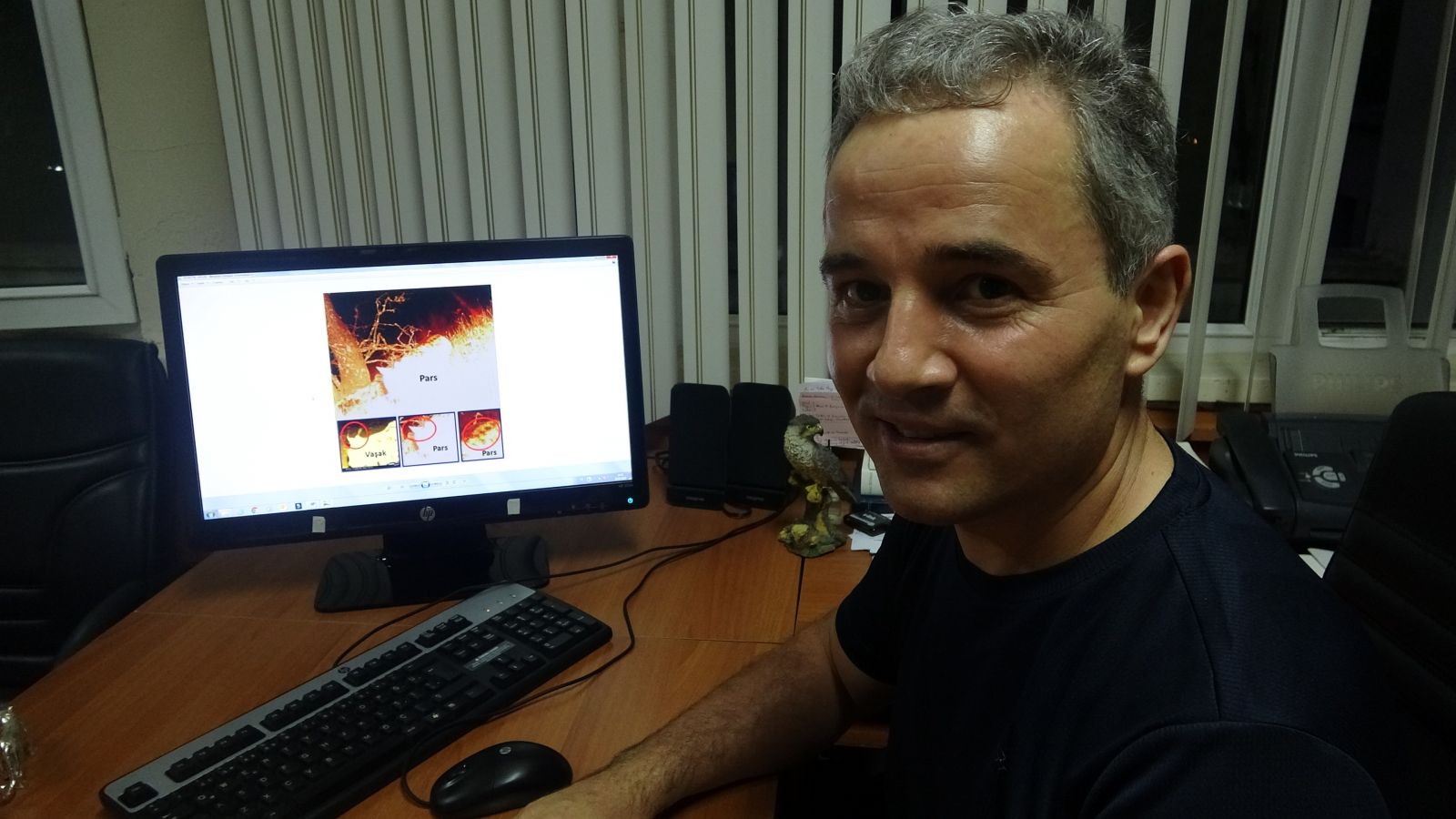 Neslinin tükendiği biliniyordu, Anadolu Parsı görüntülendi