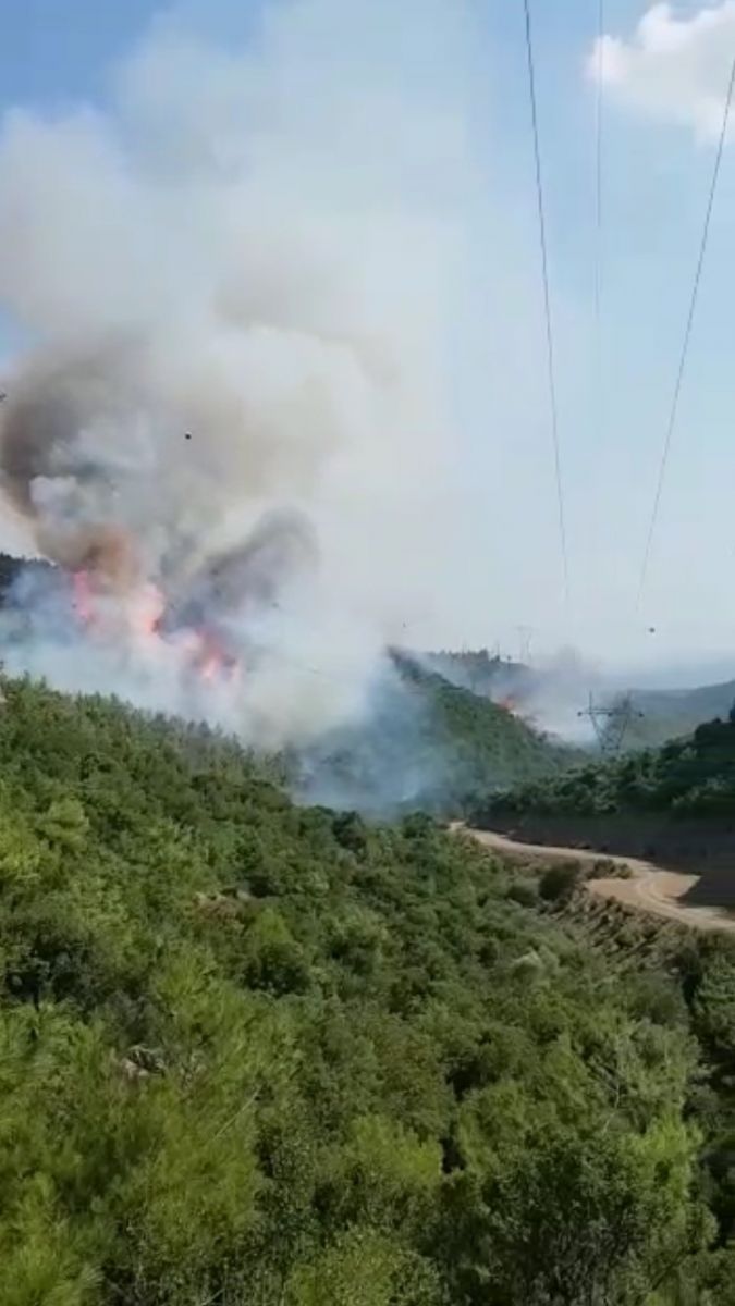 İzmir'de orman yangını! Dumanlar kilometrelerce uzaktan görülüyor