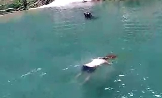Havuza atlayarak kafasını taşa vuran genç, felç geçirdi