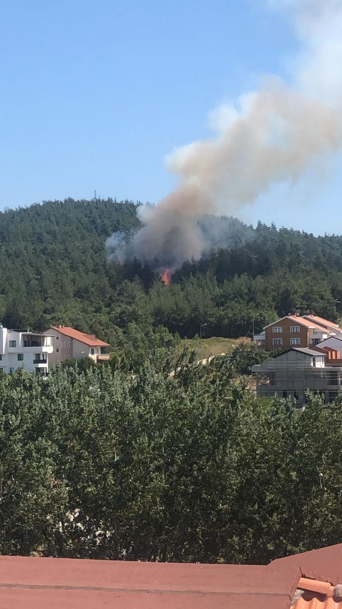 Bursa'da orman yangını: Alevler villalara yaklaşıyor