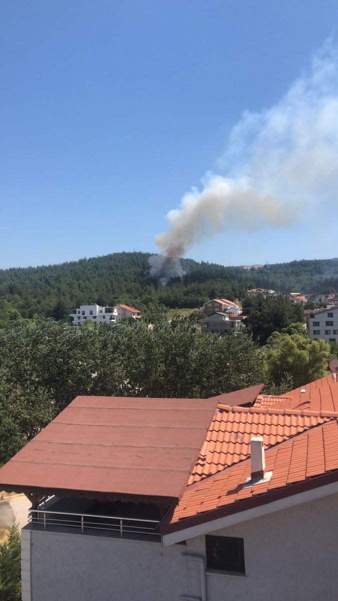 Bursa'da orman yangını: Alevler villalara yaklaşıyor