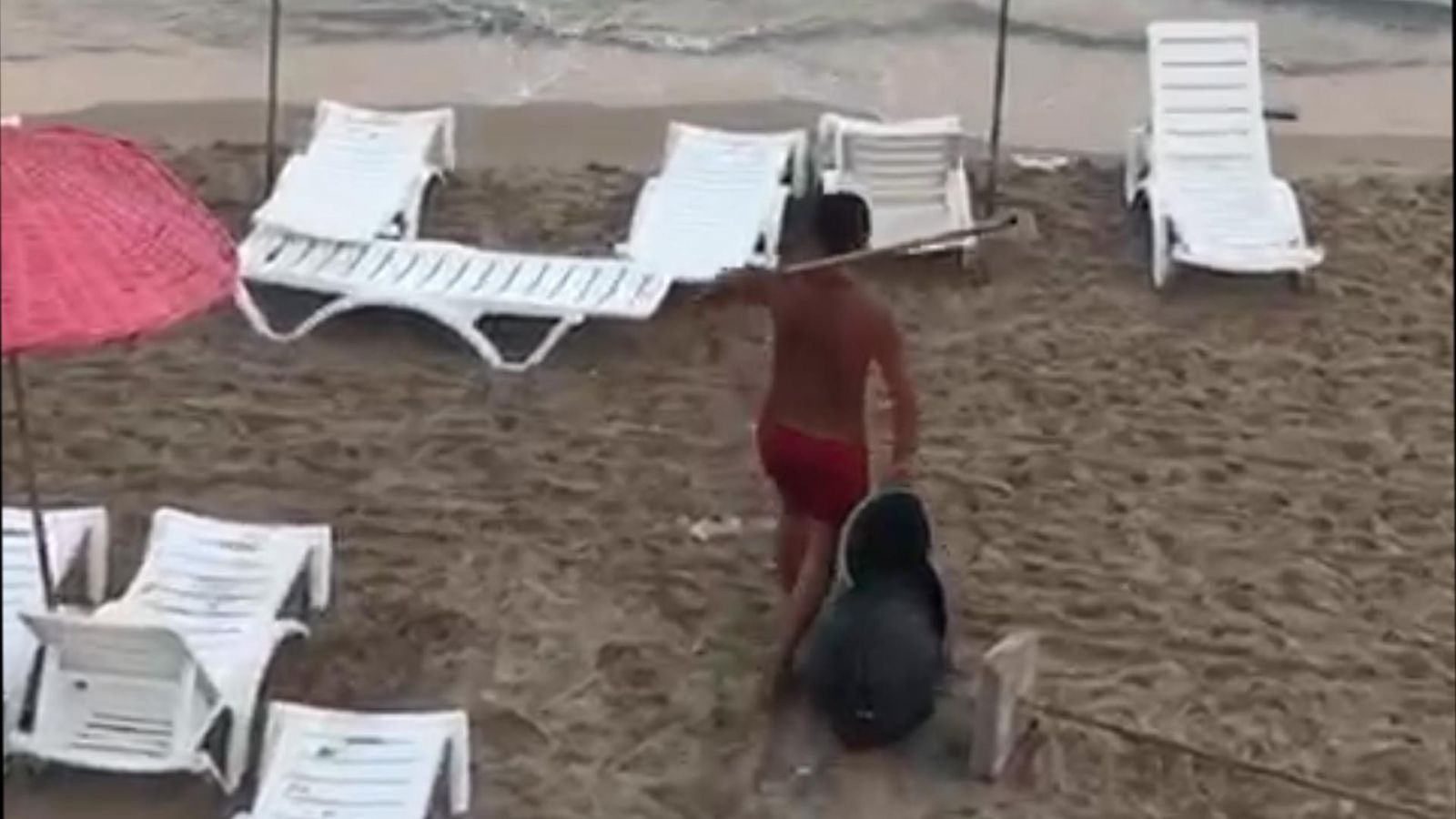 Ağaçları yakıp, çöpleri denize dökmüştü: Mahkeme akıl hastanesine gönderdi