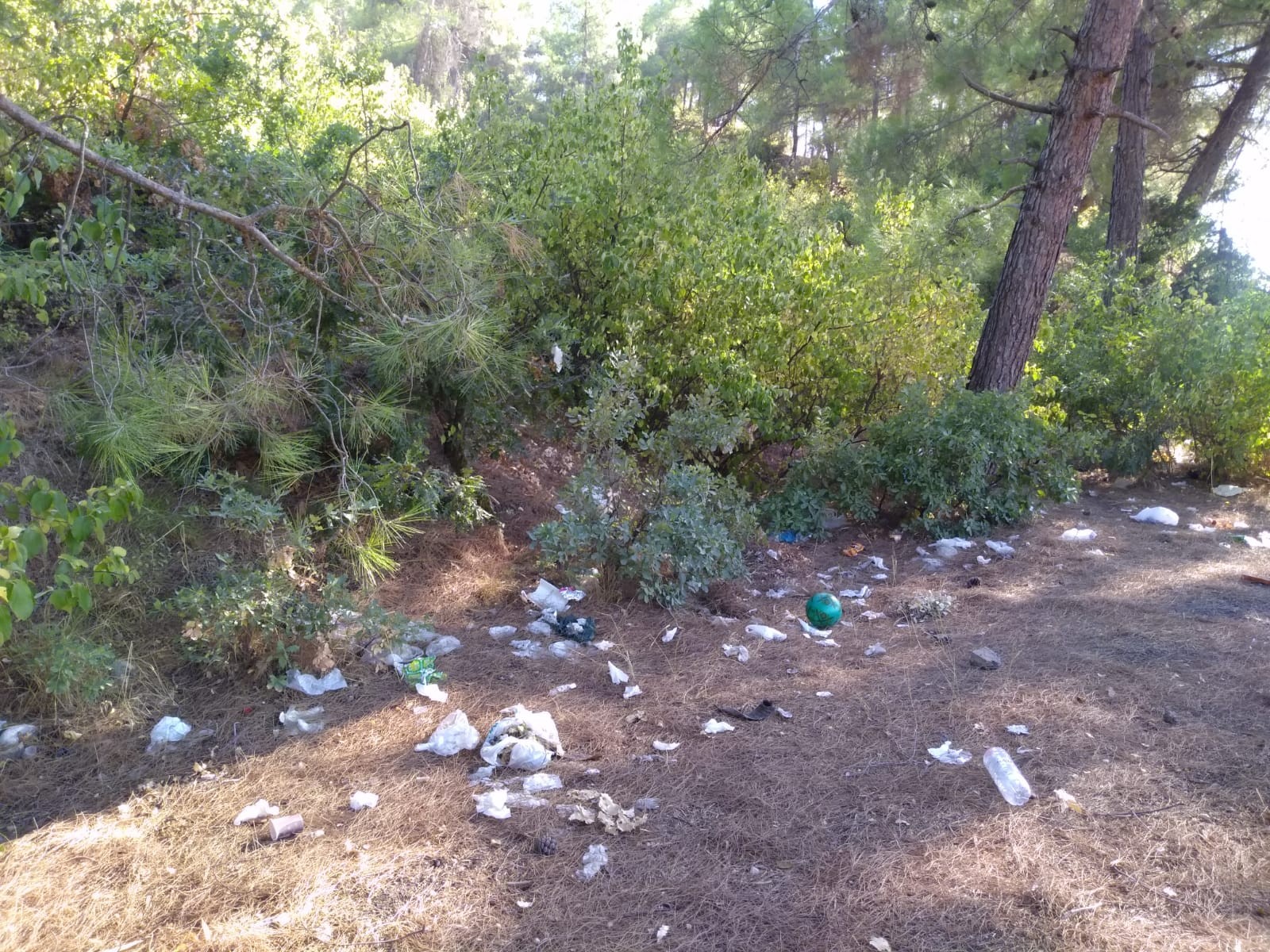 Piknik alanı çöplüğe döndü