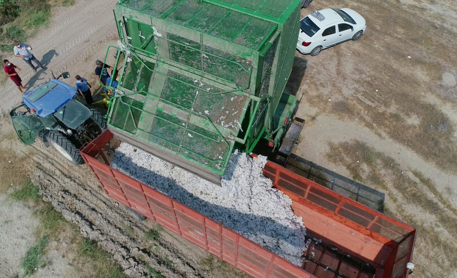 'Beyaz altın' pamukta hasat başladı