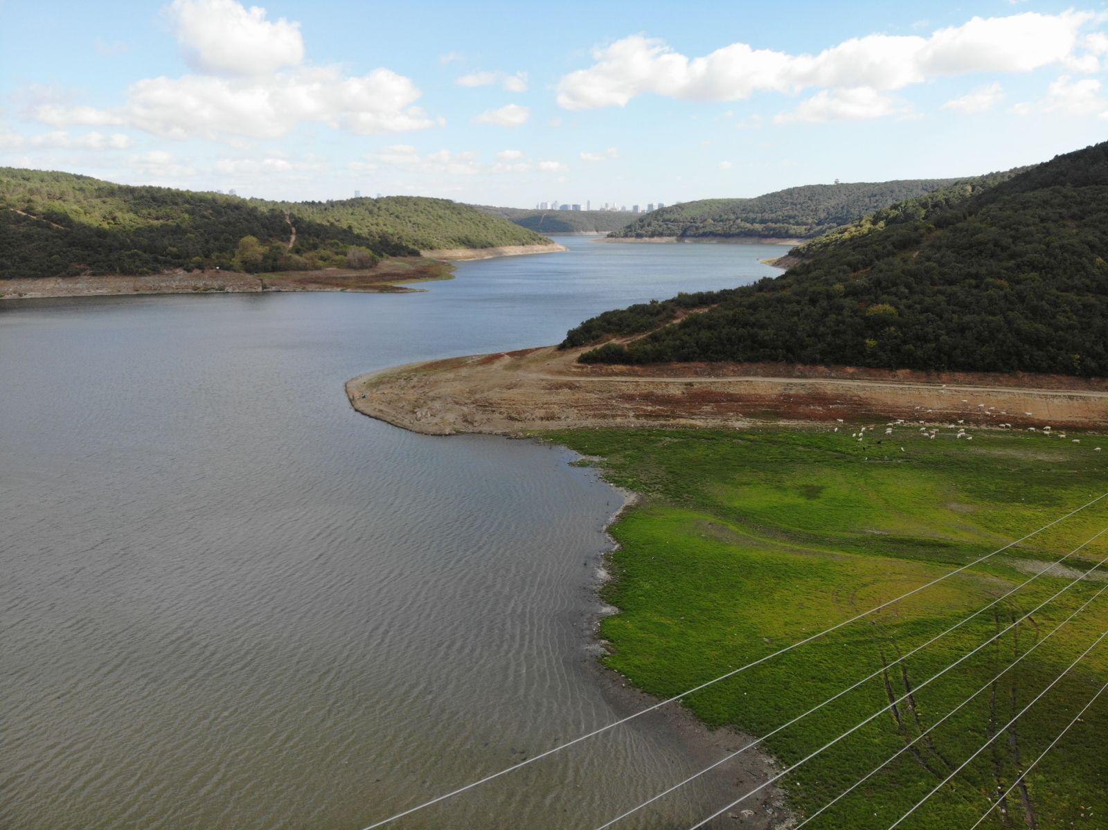 Alibeyköy barajında korkutan görüntü Alibeyköy barajında korkutan görüntü