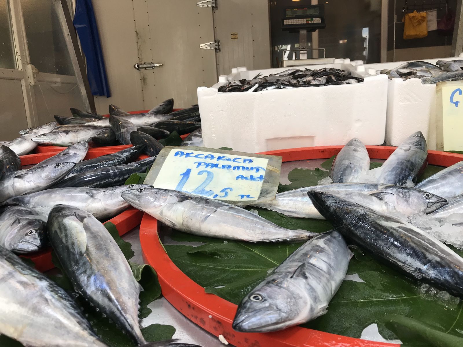 Bu sene tezgahlar da sofralar da balığa doyacak