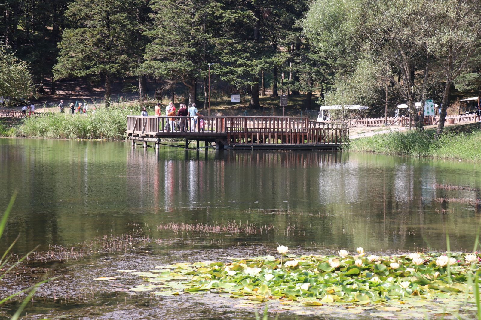HES koduyla girilen Gölcük Tabiat Parkı'na yoğun ilgi