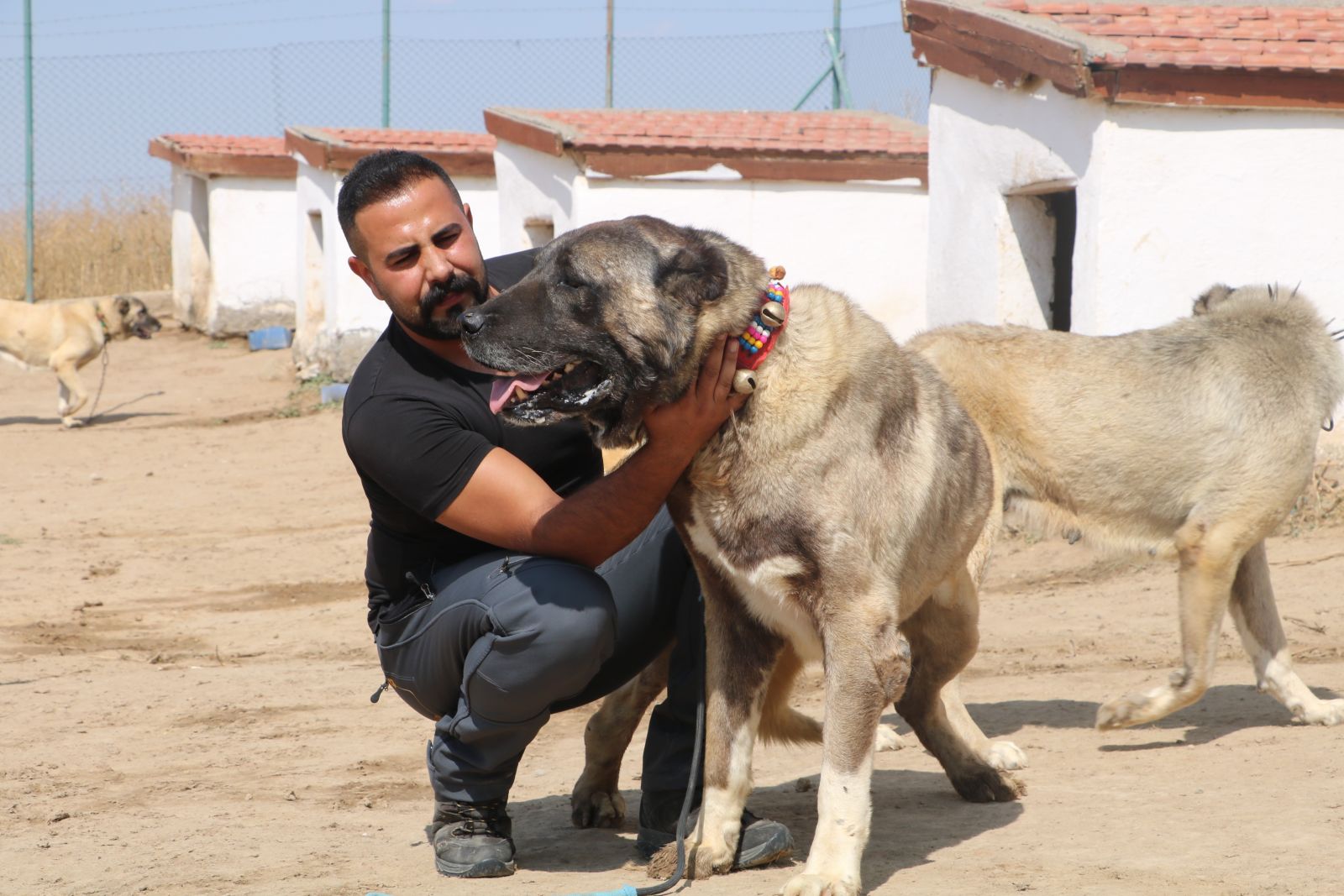 Kangallar vatan görevi için hazır! PÖH'ün yanında görev alacaklar
