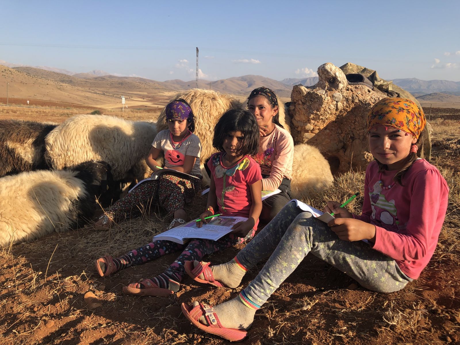 Koyunların peşinde hayallerine koşuyorlar