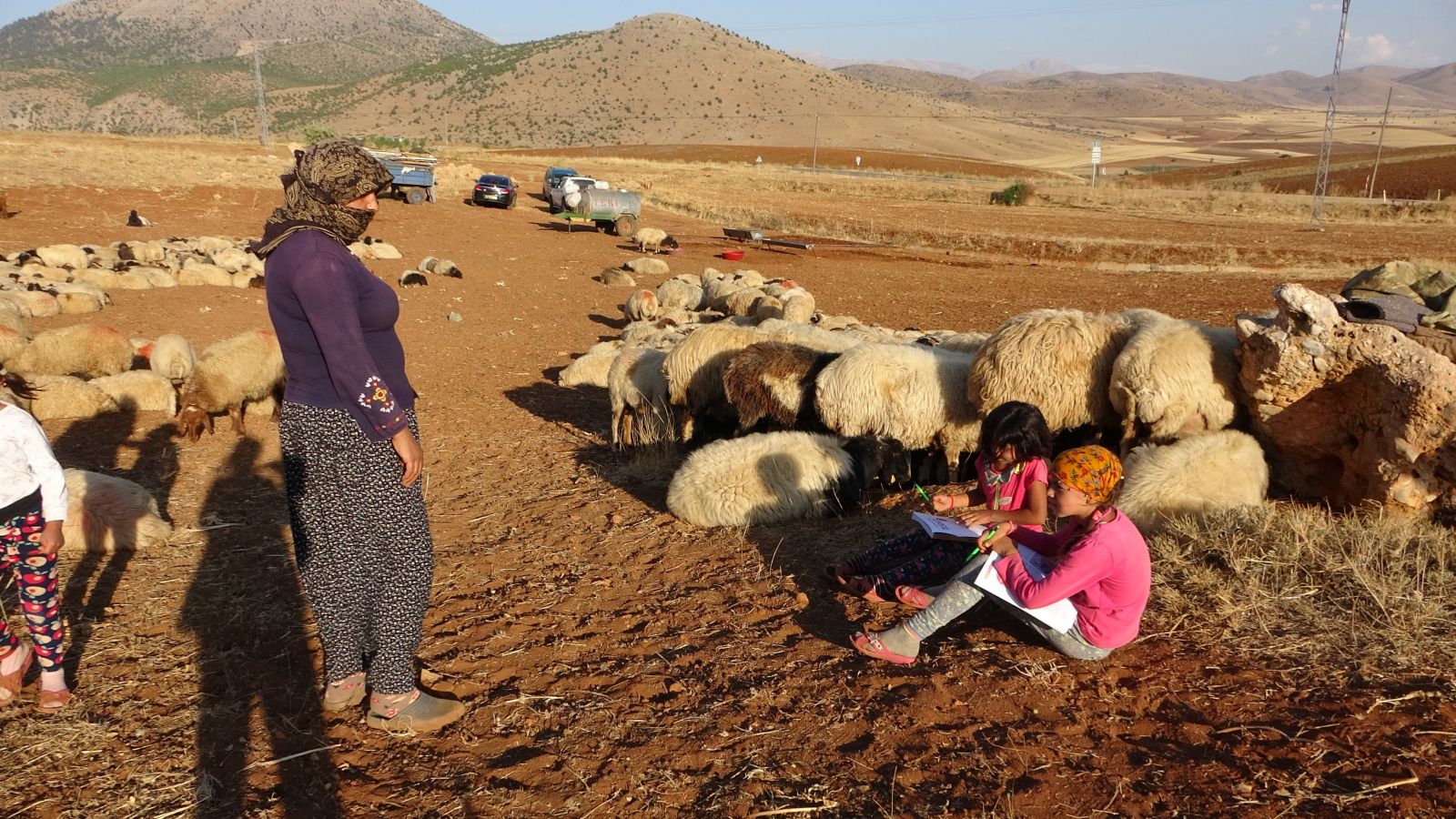 Koyunların peşinde hayallerine koşuyorlar