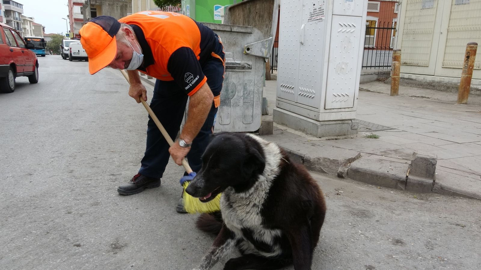 Temizlik işçisiyle sokak köpeğinin iç ısıtan görüntüsü