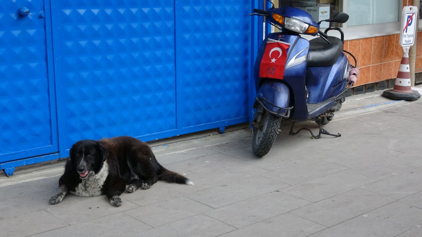 Temizlik işçisiyle sokak köpeğinin iç ısıtan görüntüsü