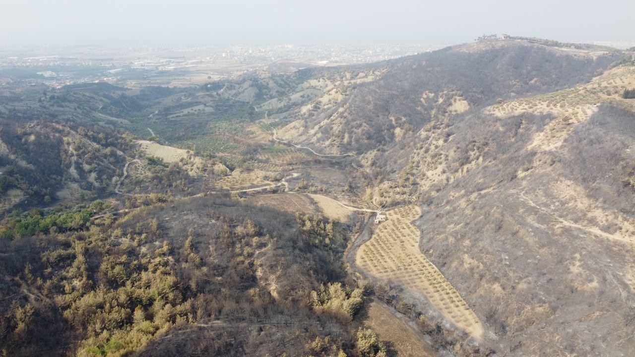 Hatay'daki yangında 300 hektar alan zarar gördü