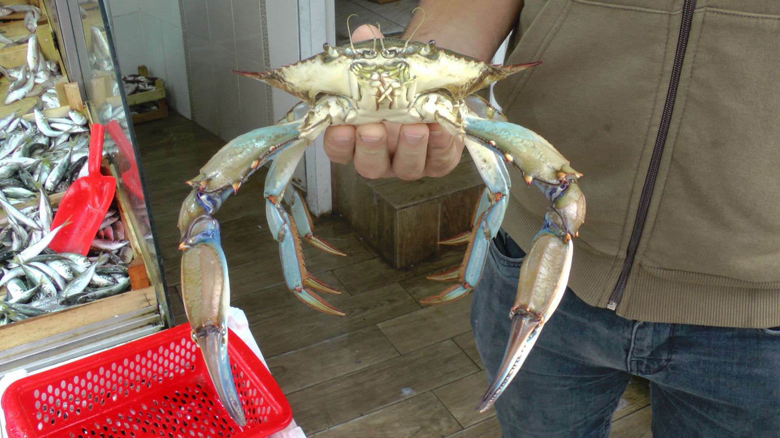 Balıkçılar ağa takılanı görünce şaşkına döndü