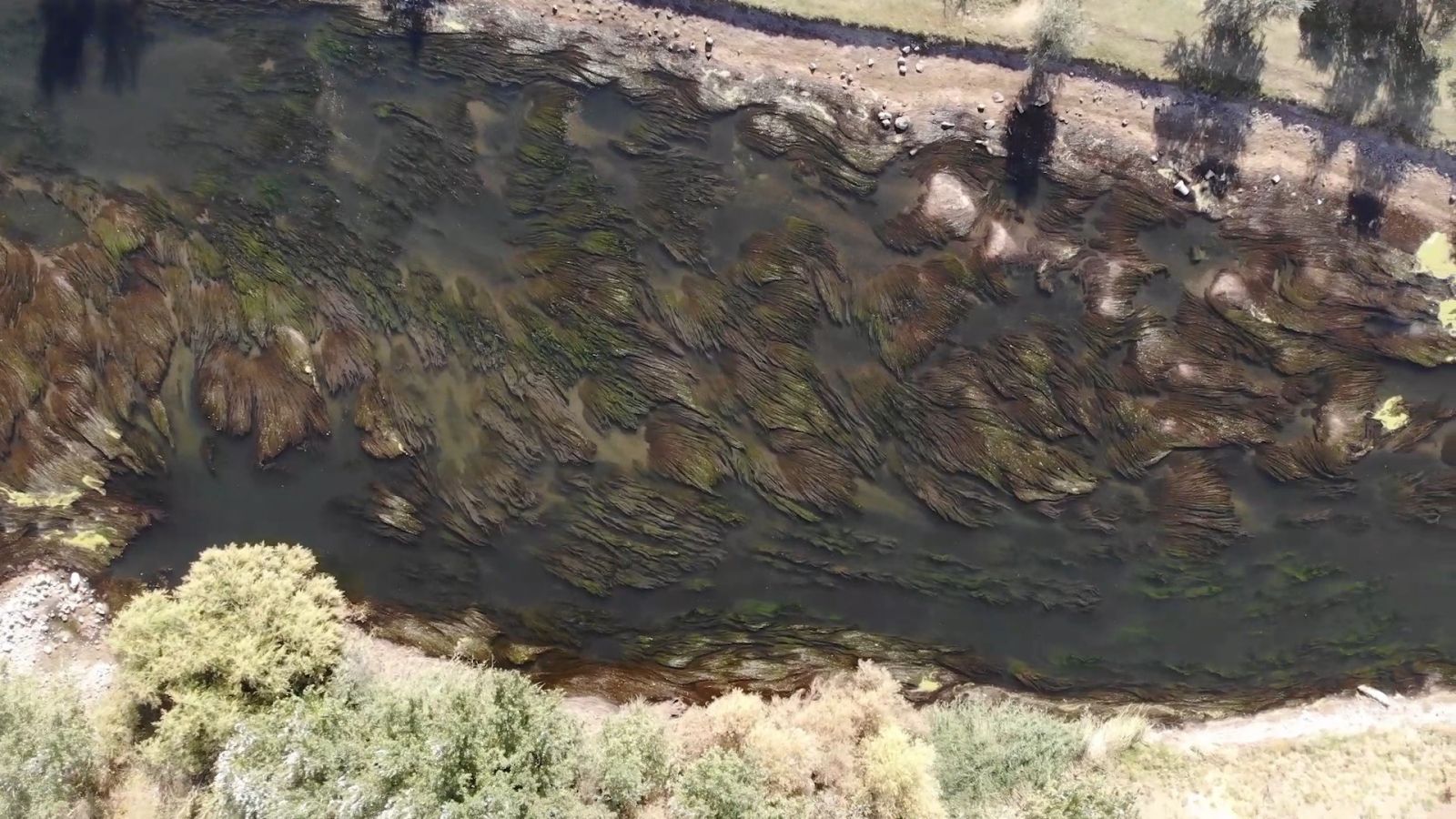 Türkiye'nin en uzun nehri Kızılırmak'ta büyük tehlike: Kuraklık kapıda