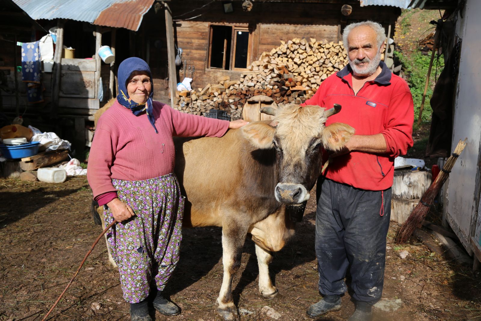 Bu aile her şeyini ineklerine borçlu Bu aile her şeyini ineklerine borçlu