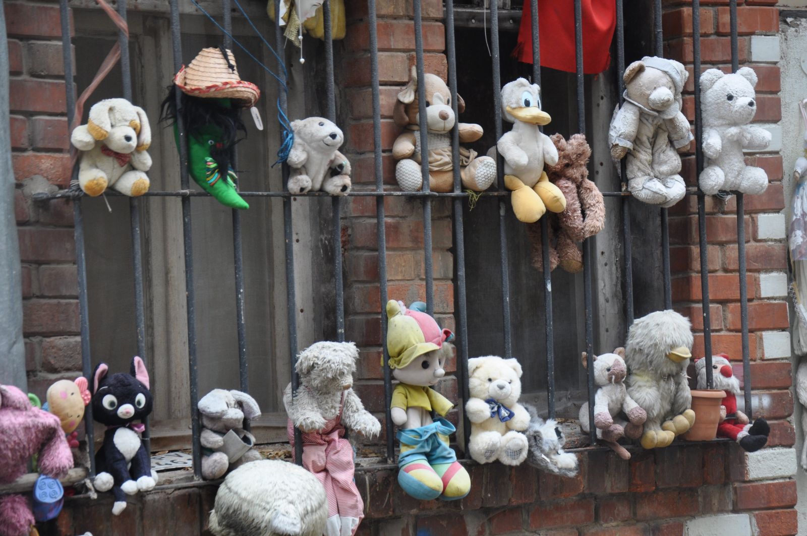 40 yaşında aldığı ilk oyuncağı ilham kaynağı oldu, evini oyuncaklarla süsledi 40 yaşında aldığı ilk oyuncağı ilham kaynağı oldu, evini oyuncaklarla süsledi