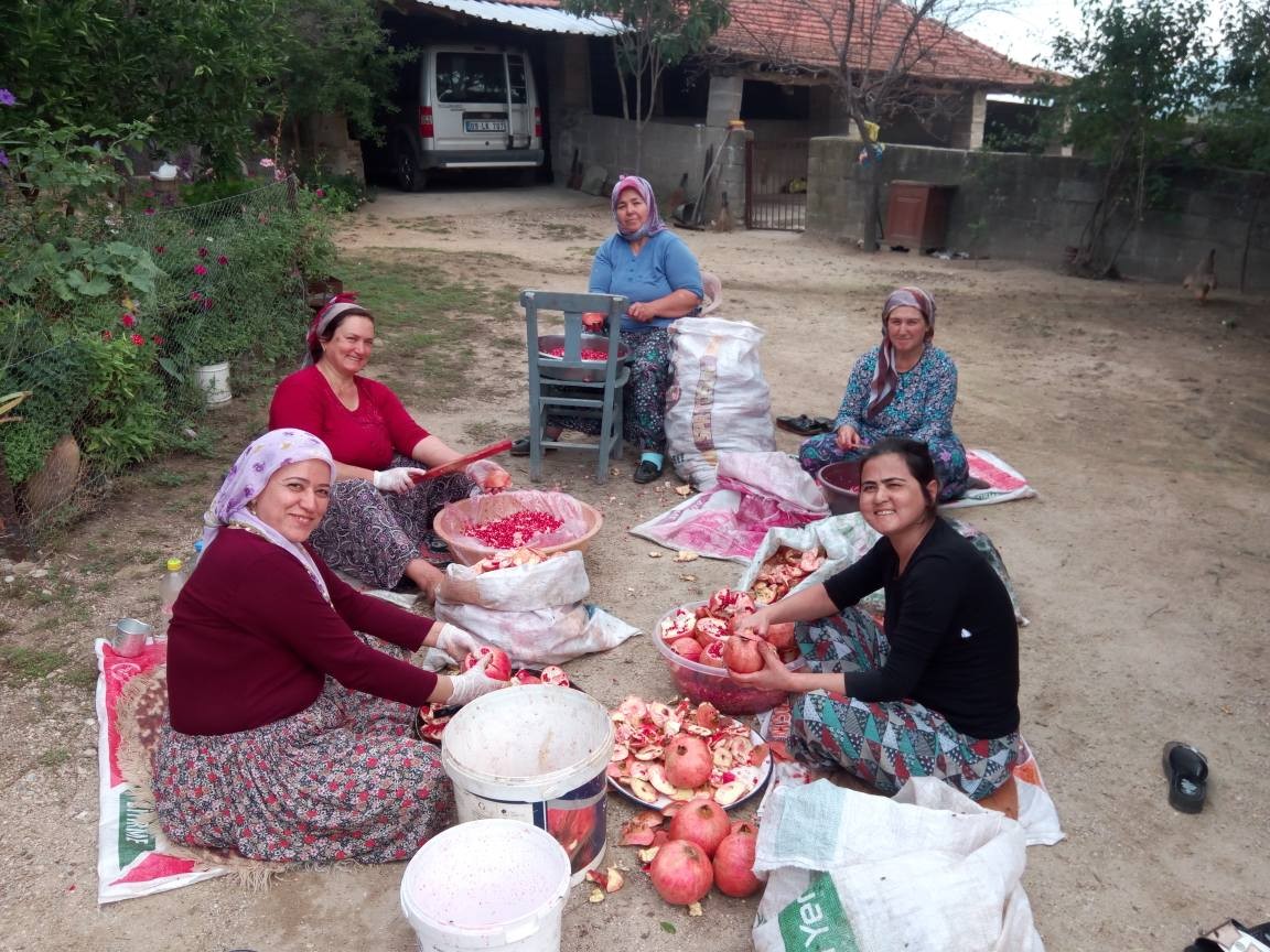 Kilosu 50 TL'ye satılıyor! Damaklara tat, vücuda sıhhat veriyor