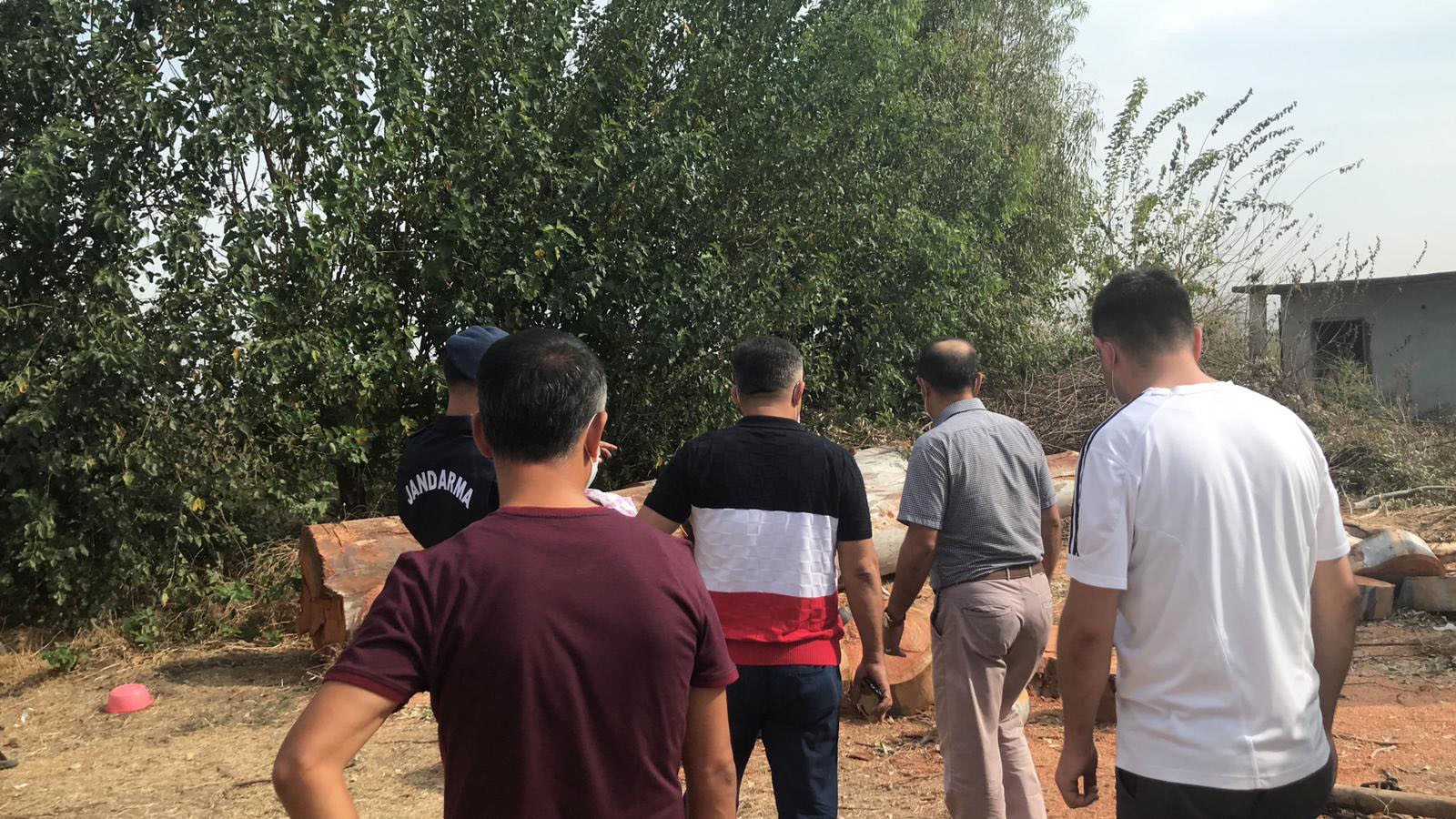 Ceyhan'da ağaç kesme kavgası: 2 ölü, 4 yaralı