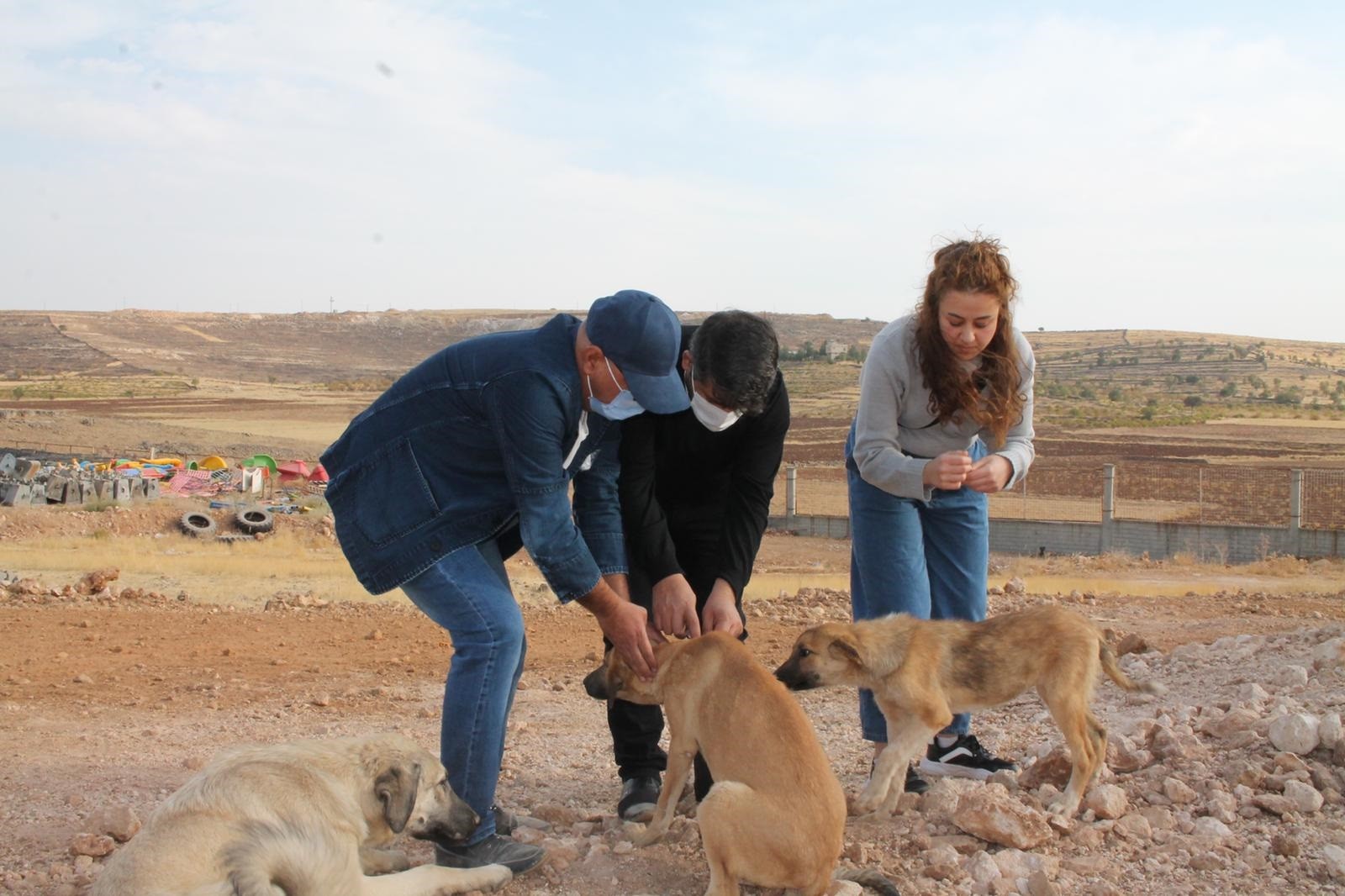 Hercai dizisinin oyuncuları sokak hayvanlarını unutmadı