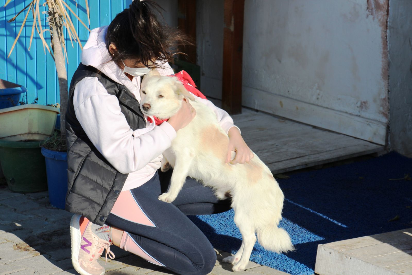 Boncuk, tsunamiden böyle kurtuldu