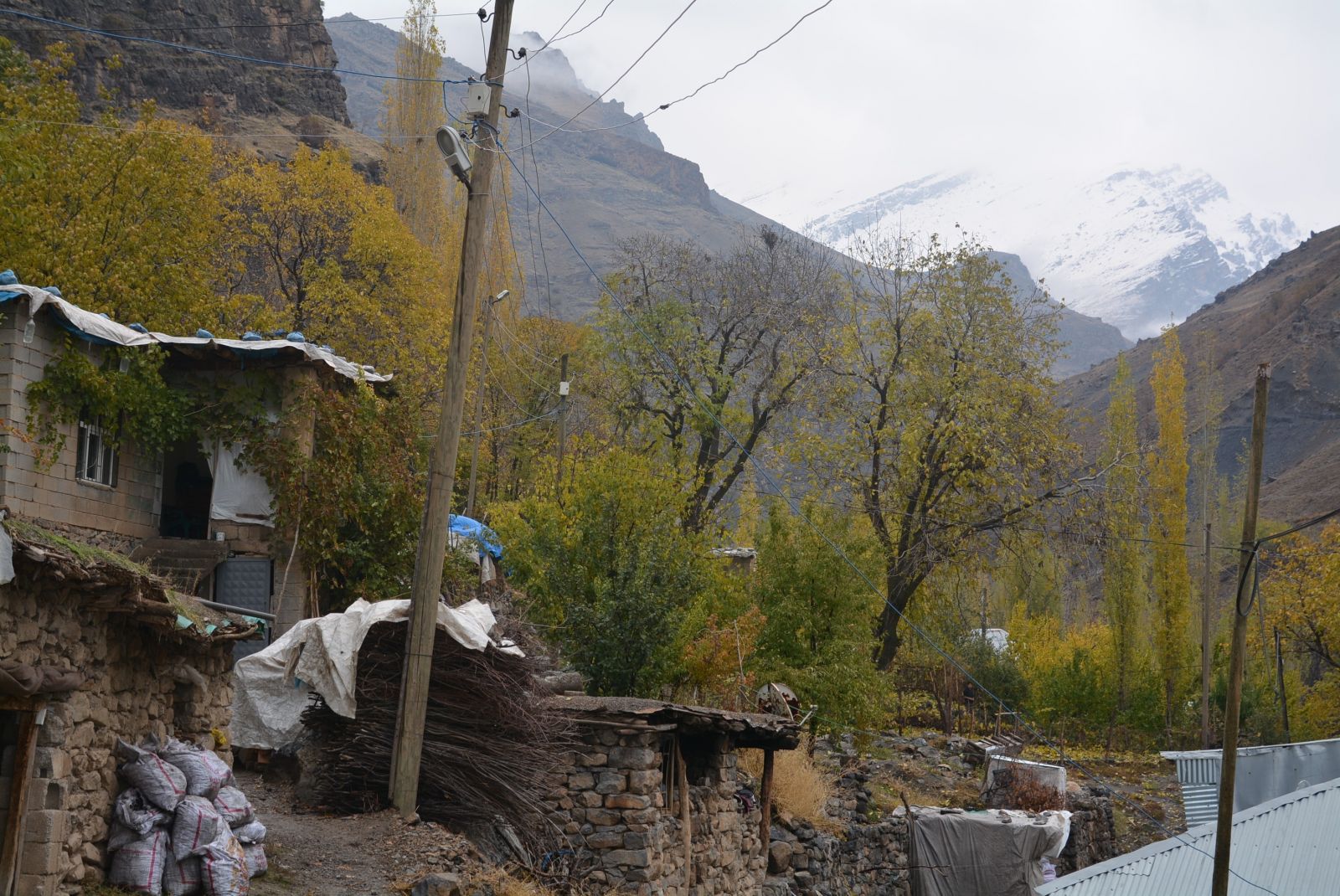 50 yıllık çığ kabusu sona erdi