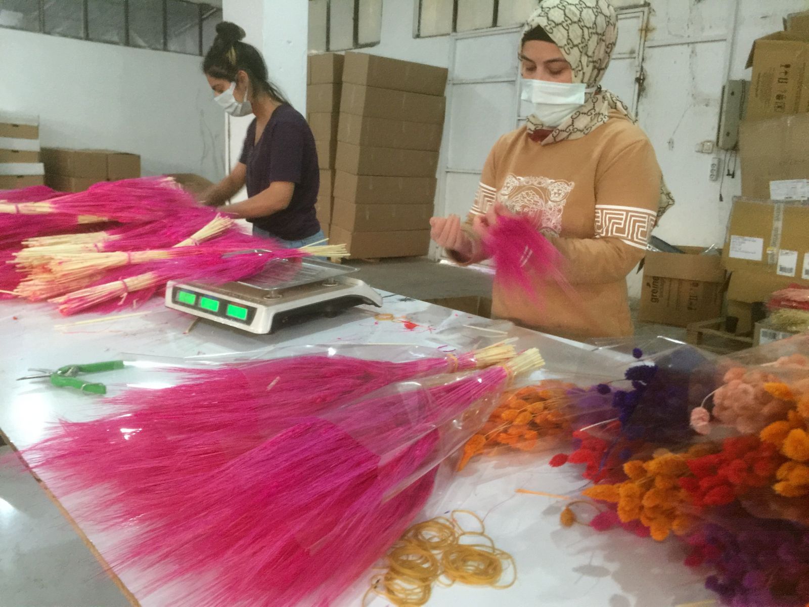 Toroslarda ayaklar altında ezilen otları boyayıp 10 ülkeye ihraç ediyor