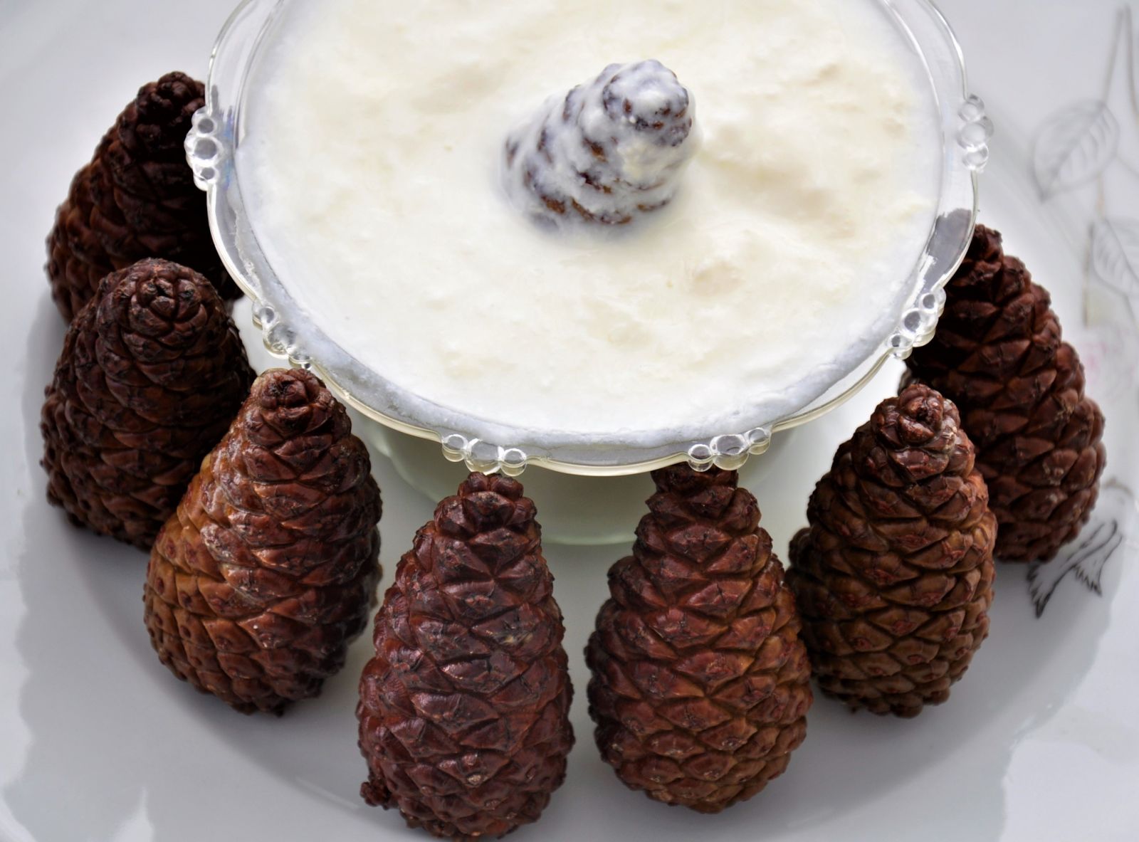 Dağdan topladığı çam kozalaklarıyla yoğurt yapıyor Dağdan topladığı çam kozalaklarıyla yoğurt yapıyor