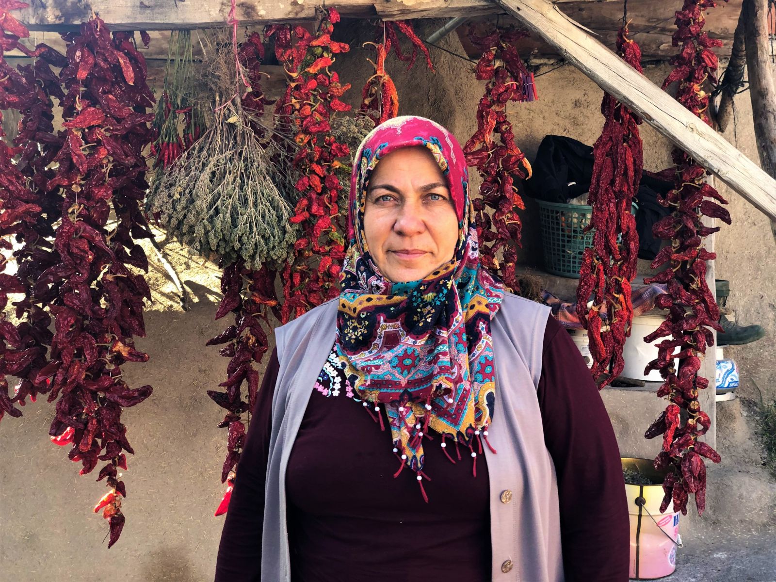 Dağdan topladığı çam kozalaklarıyla yoğurt yapıyor Dağdan topladığı çam kozalaklarıyla yoğurt yapıyor