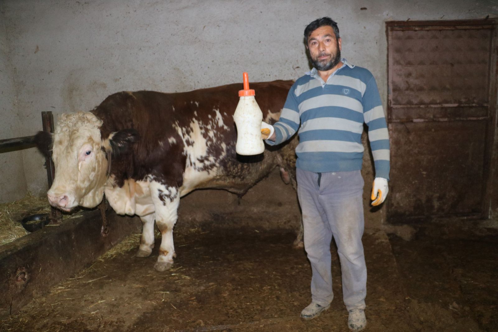 Biberonla beslendi, bu hale geldi