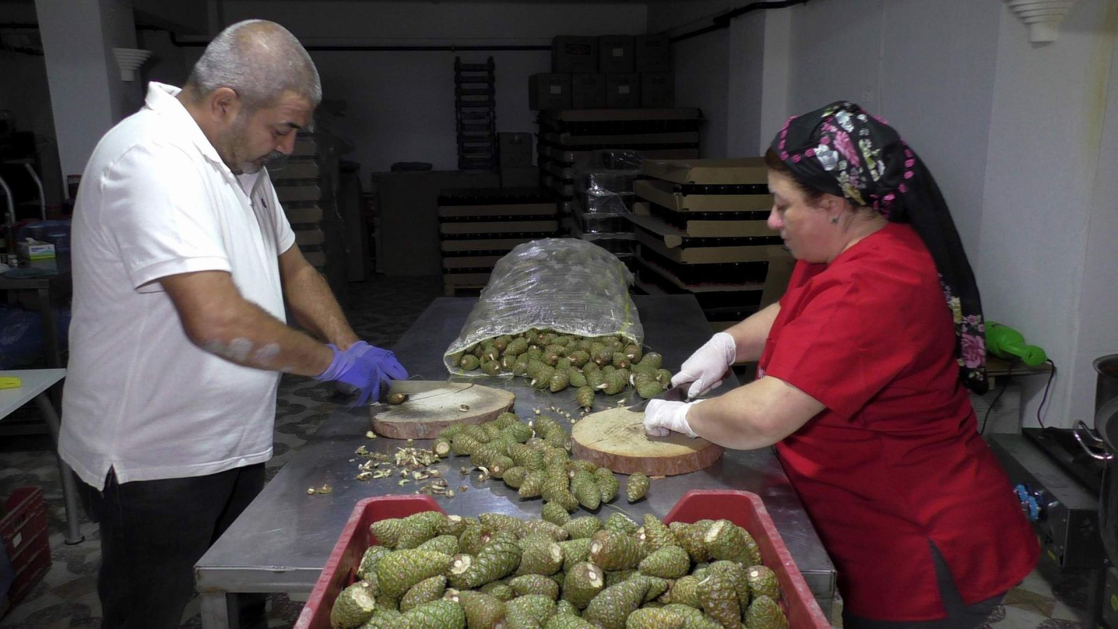 Koronavirüse karşı 'kozalak reçeli' ilgi odağı oldu