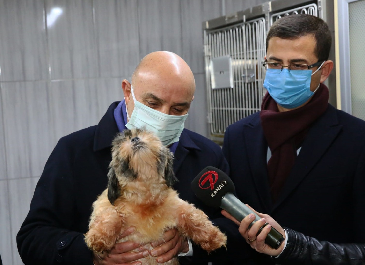 Başkent’te 68 köpeğin ses tellerini kesenlere 42 bin 891 TL ceza