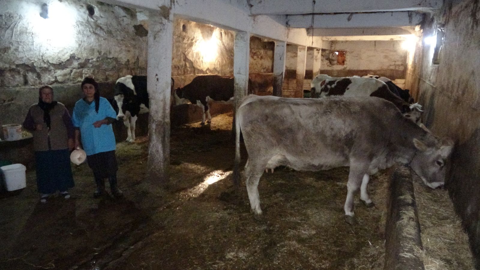Asgari ücretle çalışmak yerine kendi işinin patronu oldu