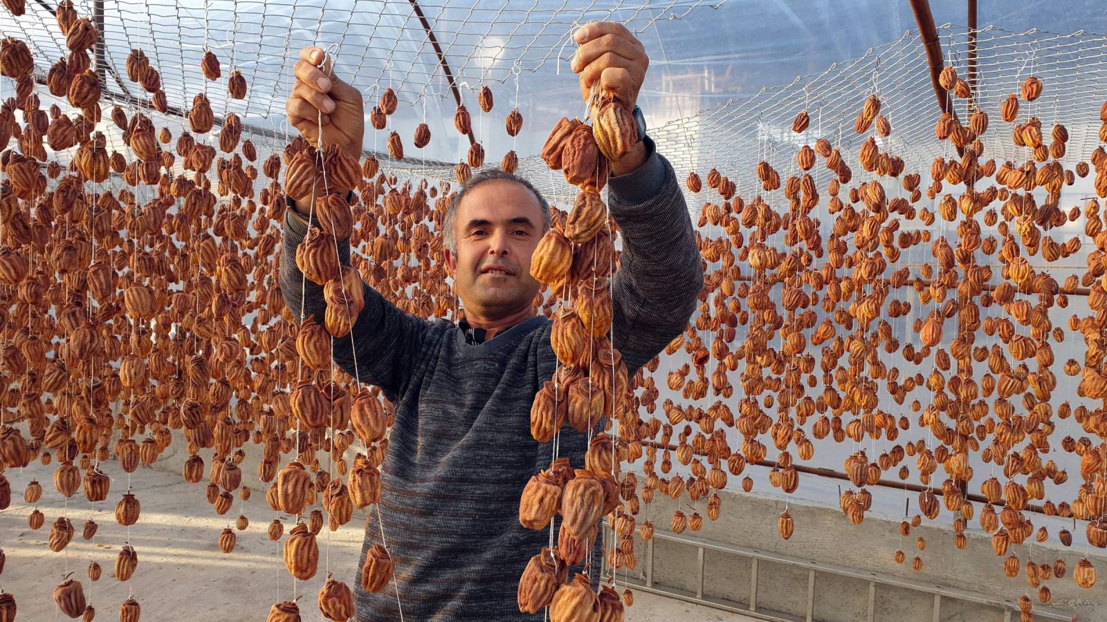 Fiyatı altınla yarışıyor! Bu meyve yüz güldürüyor