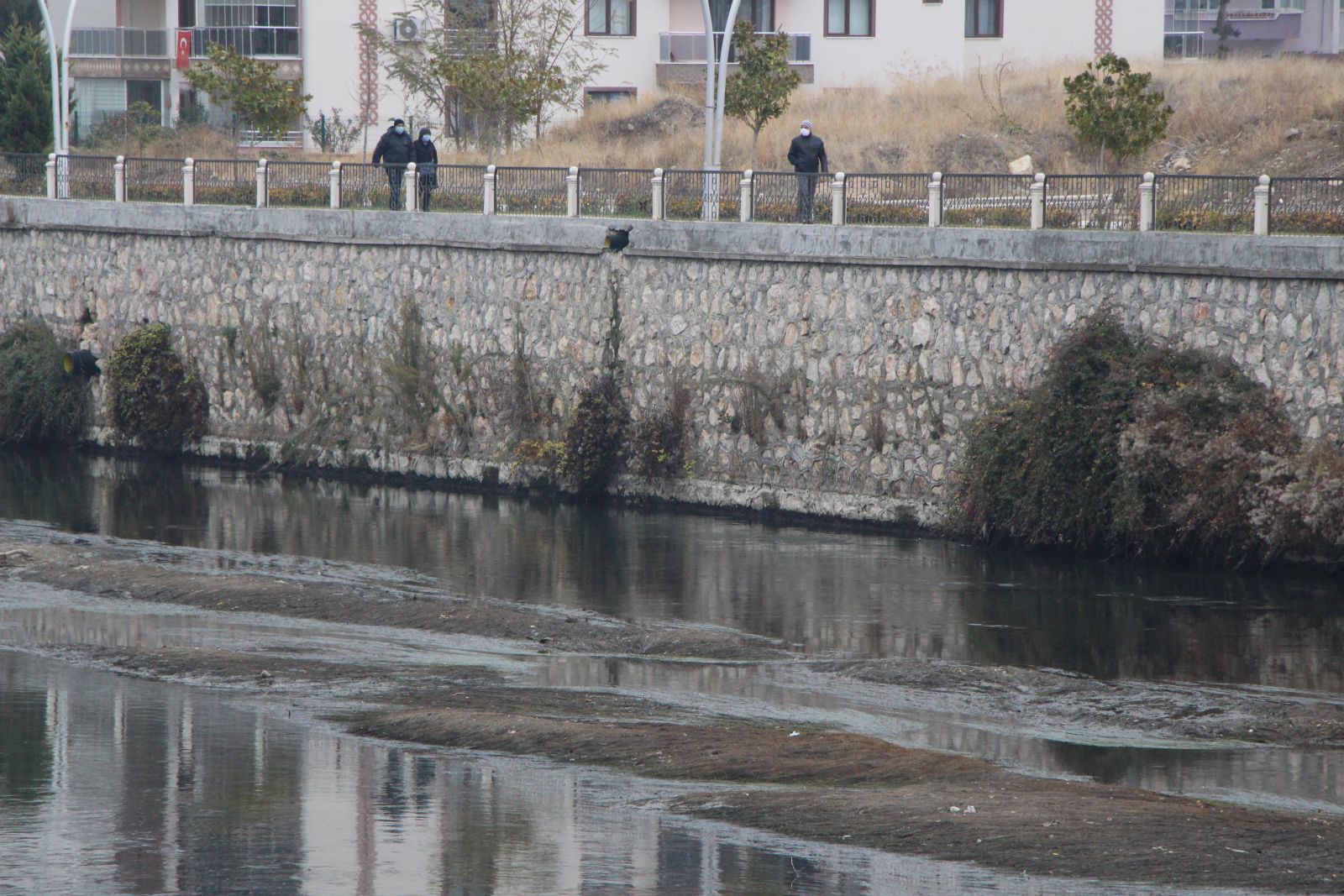 Su seviyesi azalan Yeşilırmak Nehri'nin rengi kirlilikten karardı