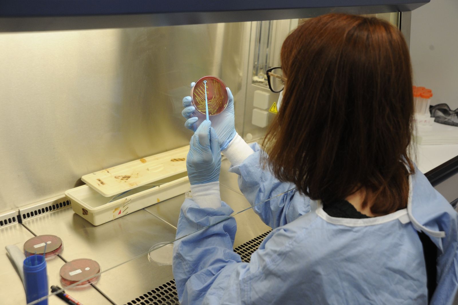 Dünya standartlarındaki merkezde enfeksiyon hastalıkları araştırılacak