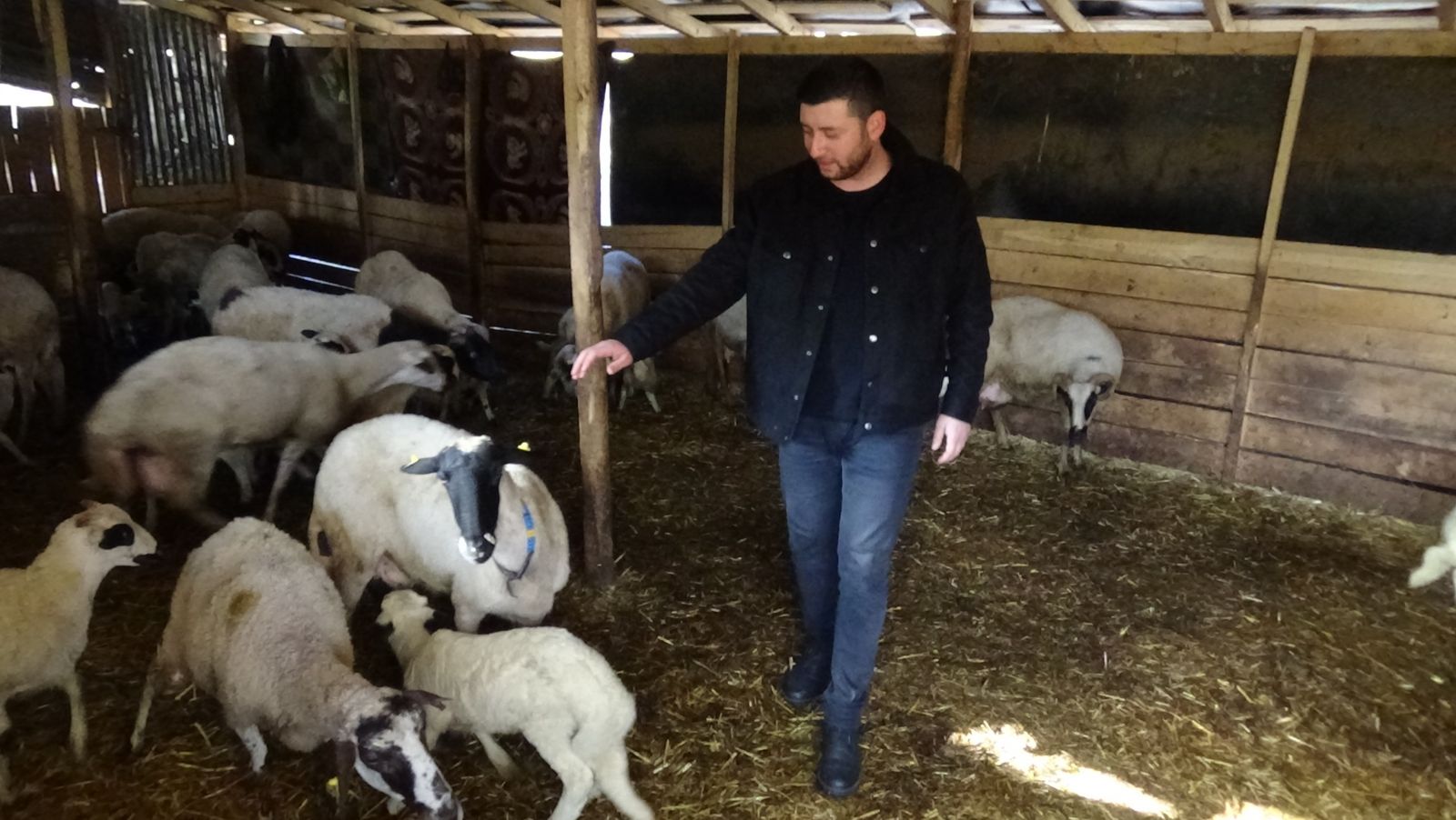 Genç çoban 'can sıkıntısı' diye başladı, 3 milyon izlenmeye ulaştı