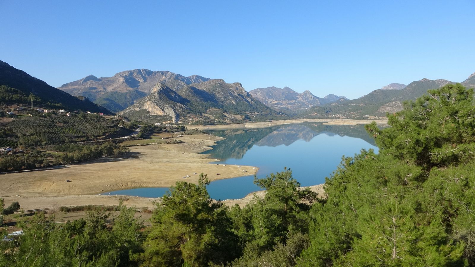 Kozan Barajı'nda ürküten görüntü