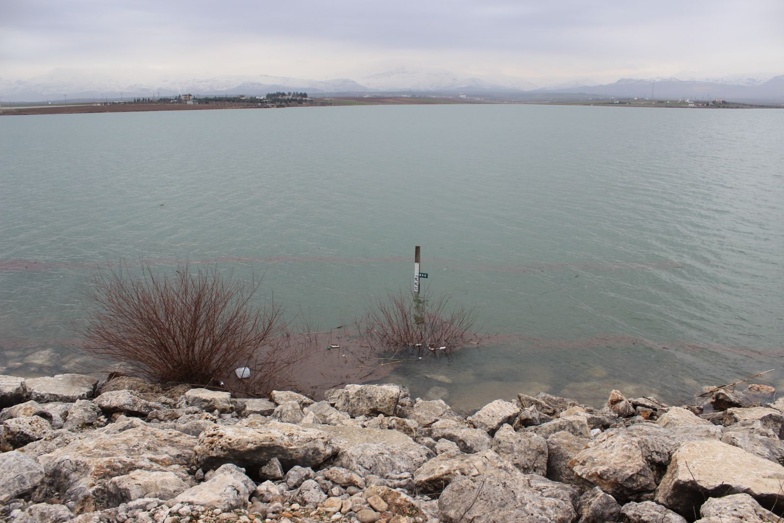 Kuraklığın korkutucu görüntüsü