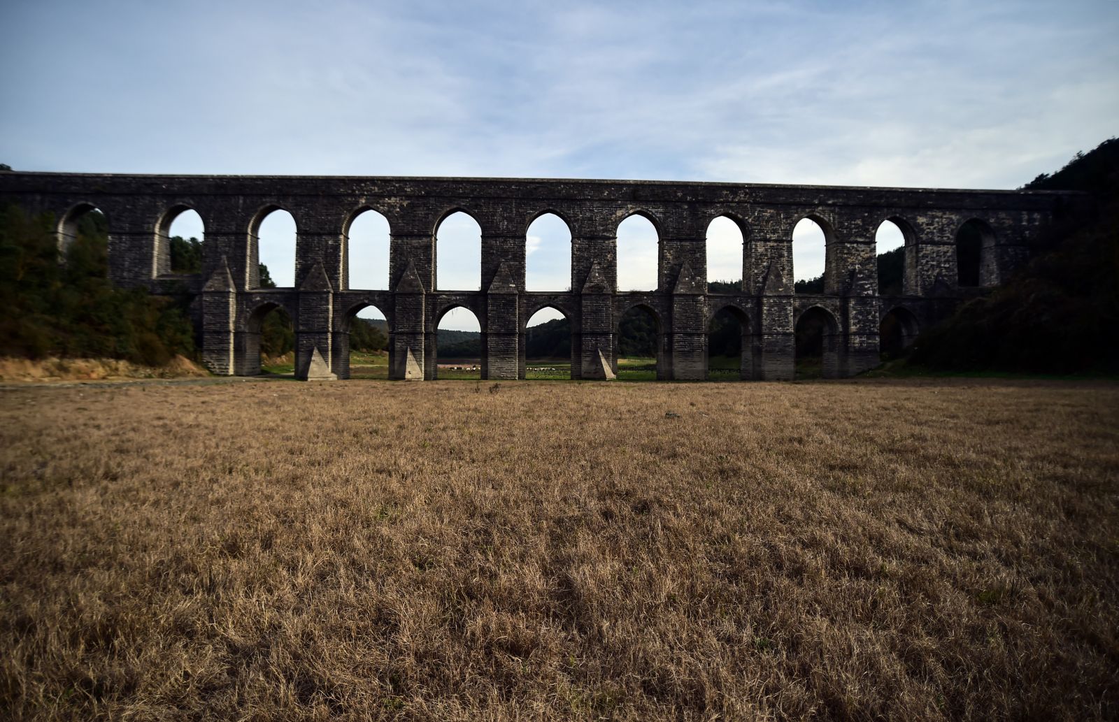 İstanbul'da balıkların yüzdüğü baraj, koyunlara kaldı