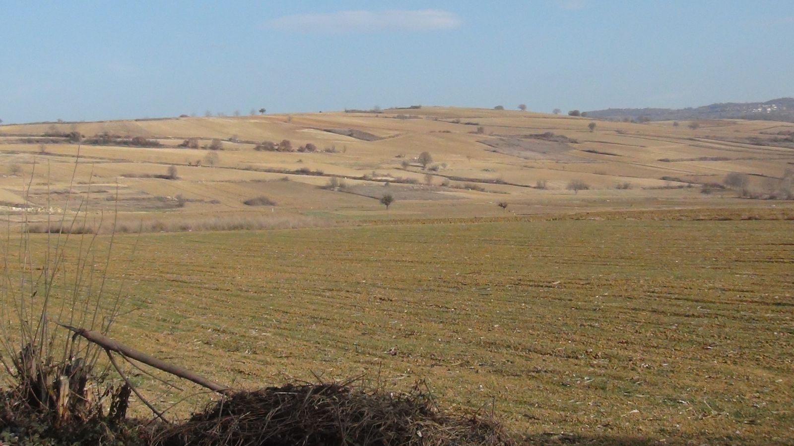 Tehlike çanları çalıyor! Çiftçi kara kara düşünüyor